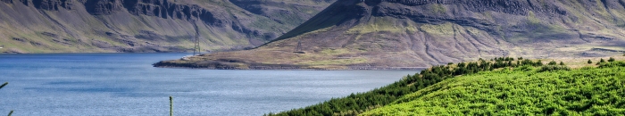 Kj&oacute;sars&yacute;sla